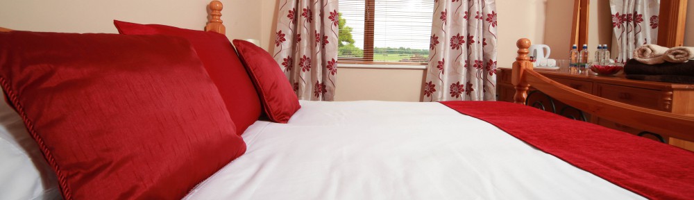 Otterstown House Bed & Breakfast